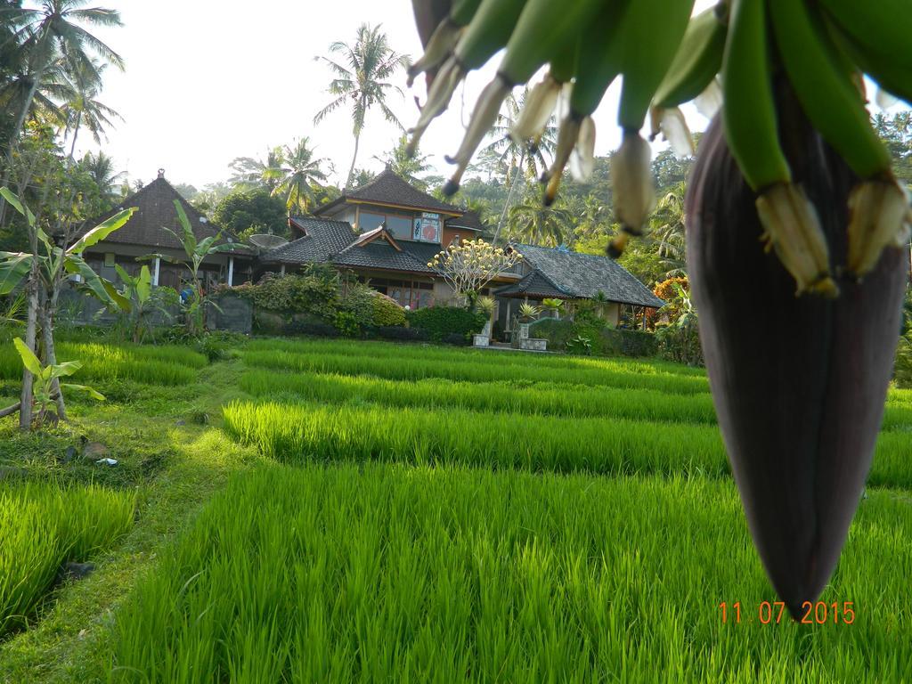 Dau Homestay Karangasem Екстериор снимка