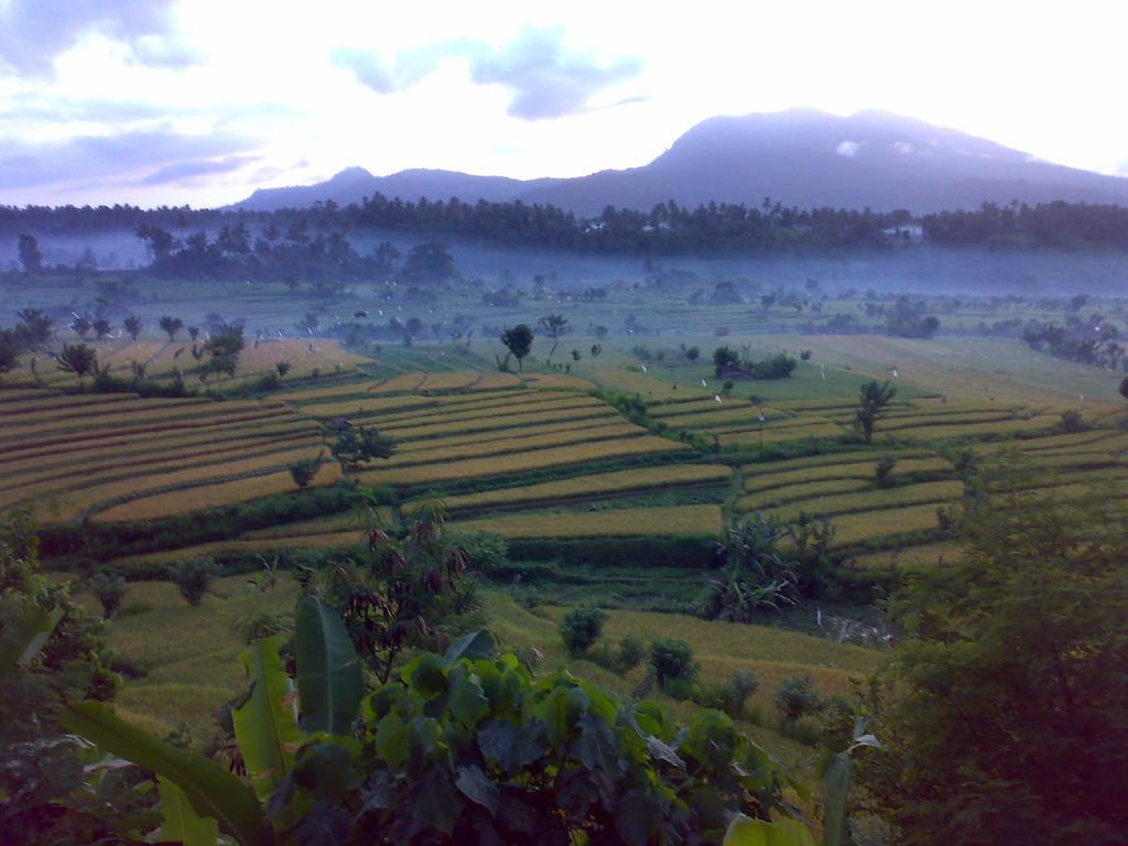 Dau Homestay Karangasem Екстериор снимка